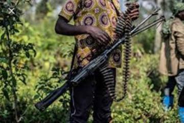 ADF-a-Walendu.jpg