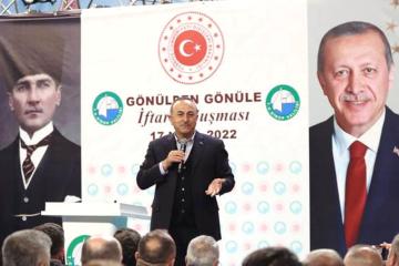 Cavusoglu.jpg