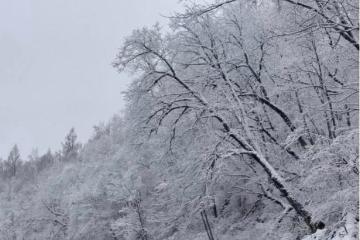 IMG-20240317-WA0046.jpg