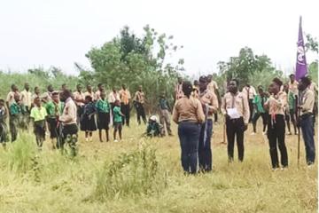 Les-scouts.jpg