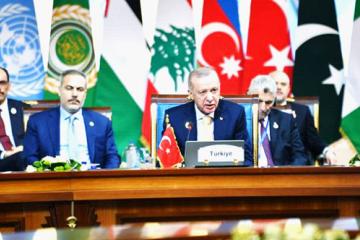Recep Tayyip Erdogan lors du sommet du D-8 au Caire