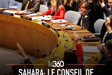 Vue-dune-reunion-du-Conseil-de-securite-des-Nations-Unies.jpg