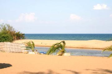 partis-1.jpg