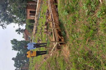 trnntn.jpg