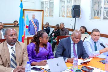Le nouveau comité de gestion du P-DDRCS s'imprègne du partenariat avec la Monusco. Photo droits tiers