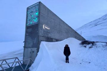 Une vue de la réserve mondiale de semences du Svalbard en Norvège. Photo droits tiers
