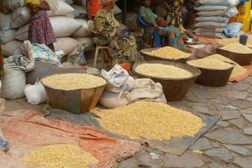 Les vendeuses de maïs sur un marché animé de Kananga.