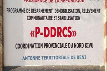 P-DDRCS