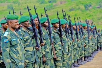FARDC éléments