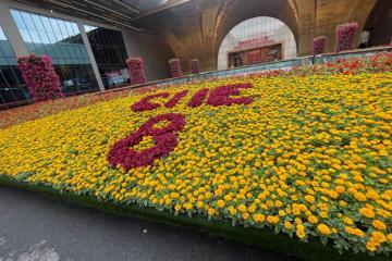 CIIE 