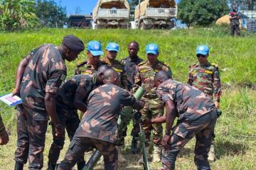Fardc Monusco