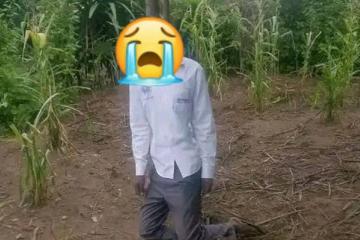 Pendu de 35 ans