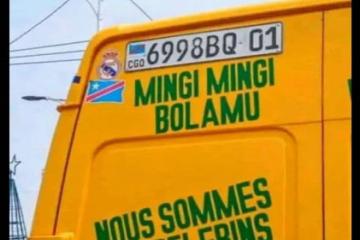 Mingi mingi bolamu