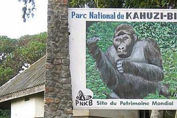 Parc Kahuzi-Biega