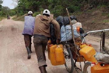 les transporteurs