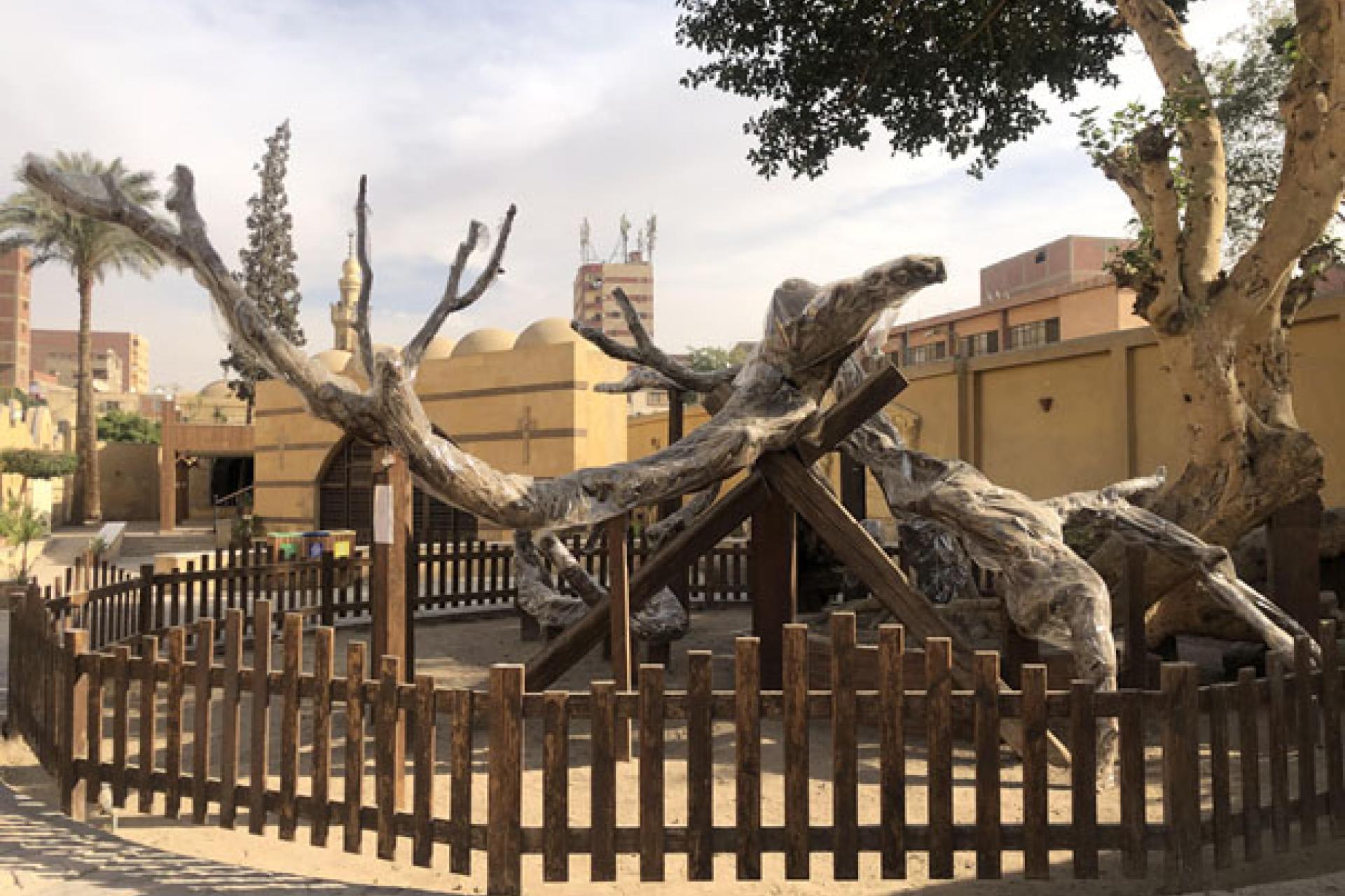 L'Arbre de la Vierge Marie.