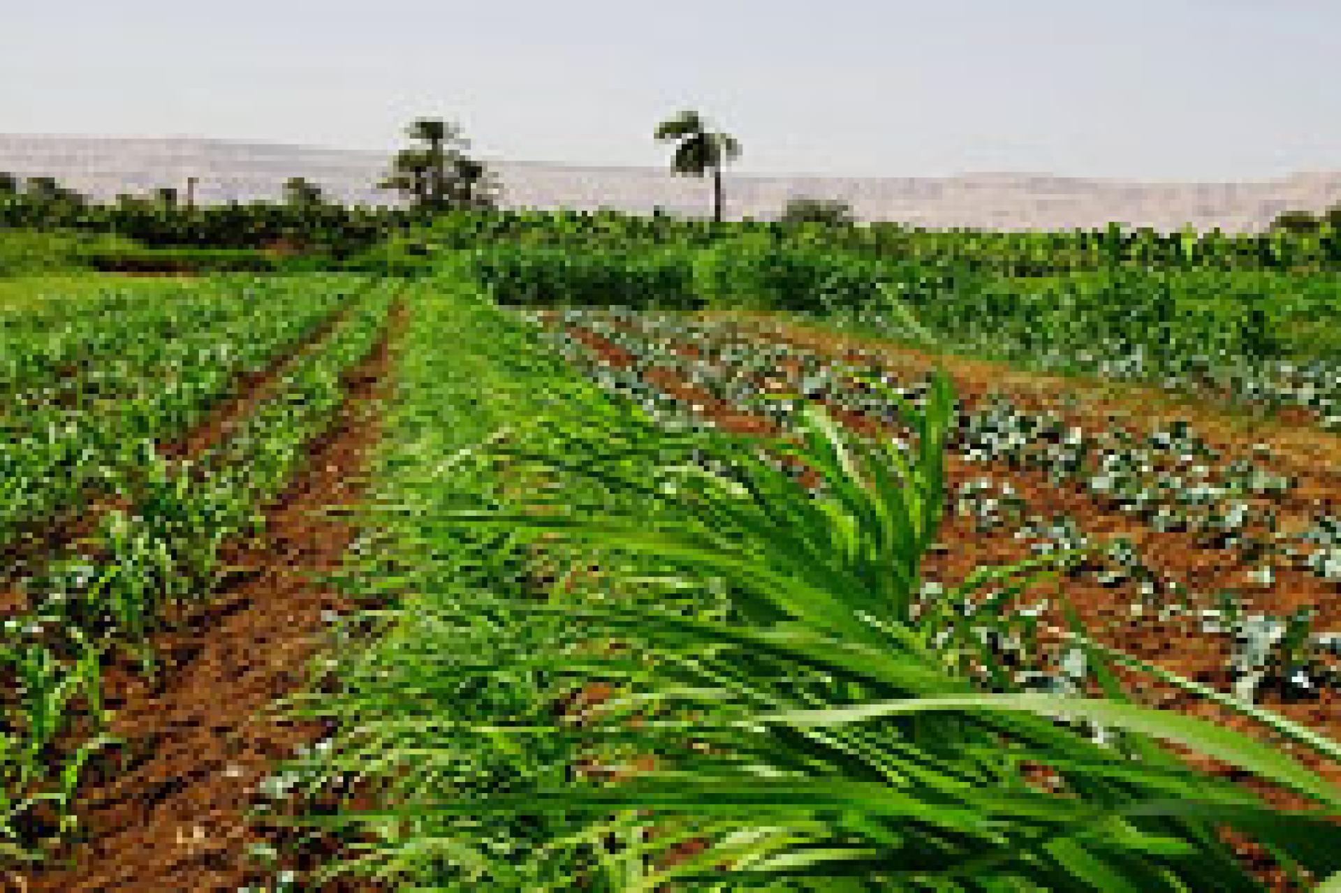 Top-10 des pays africains 