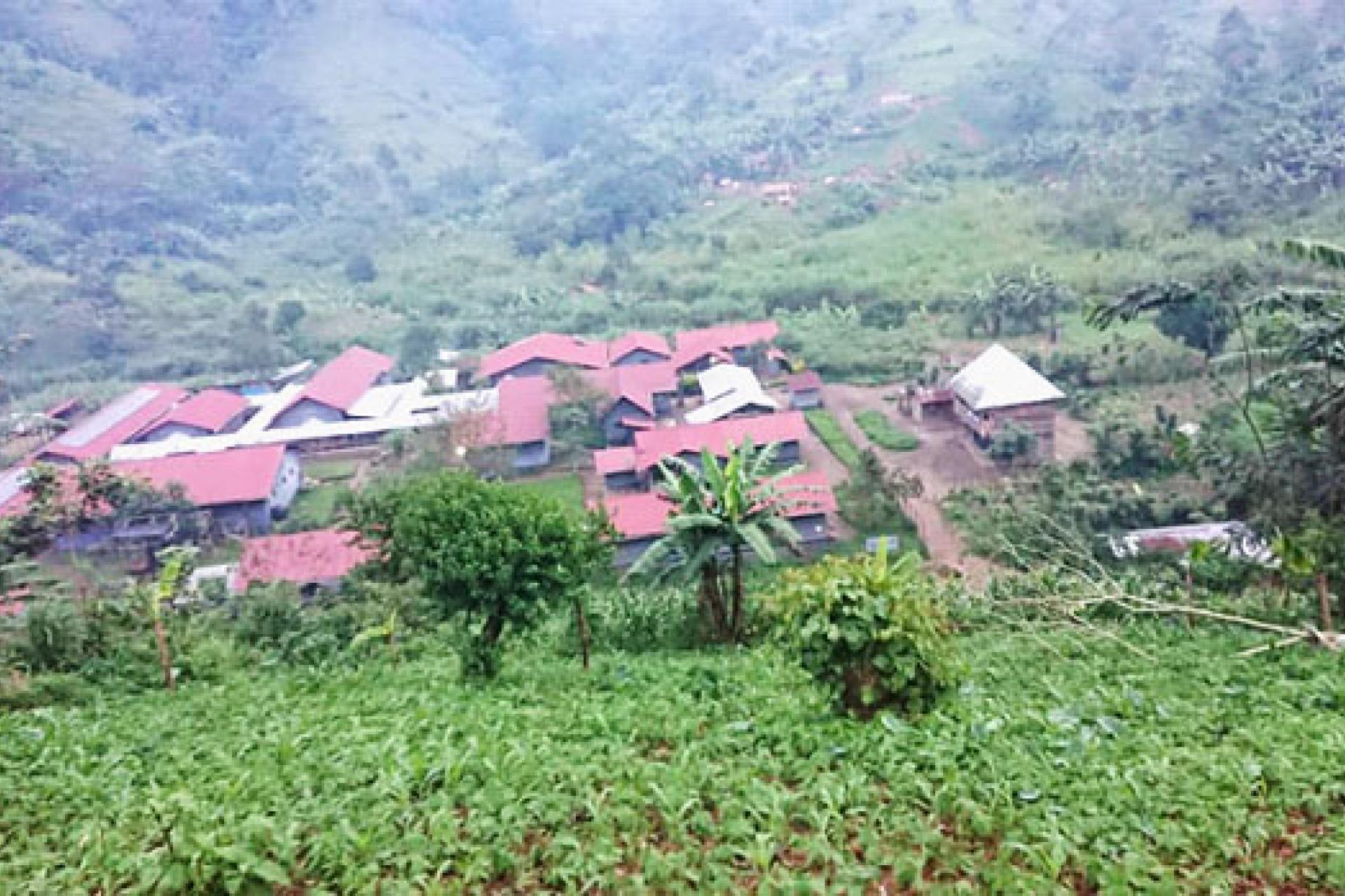 Sud-Kivu