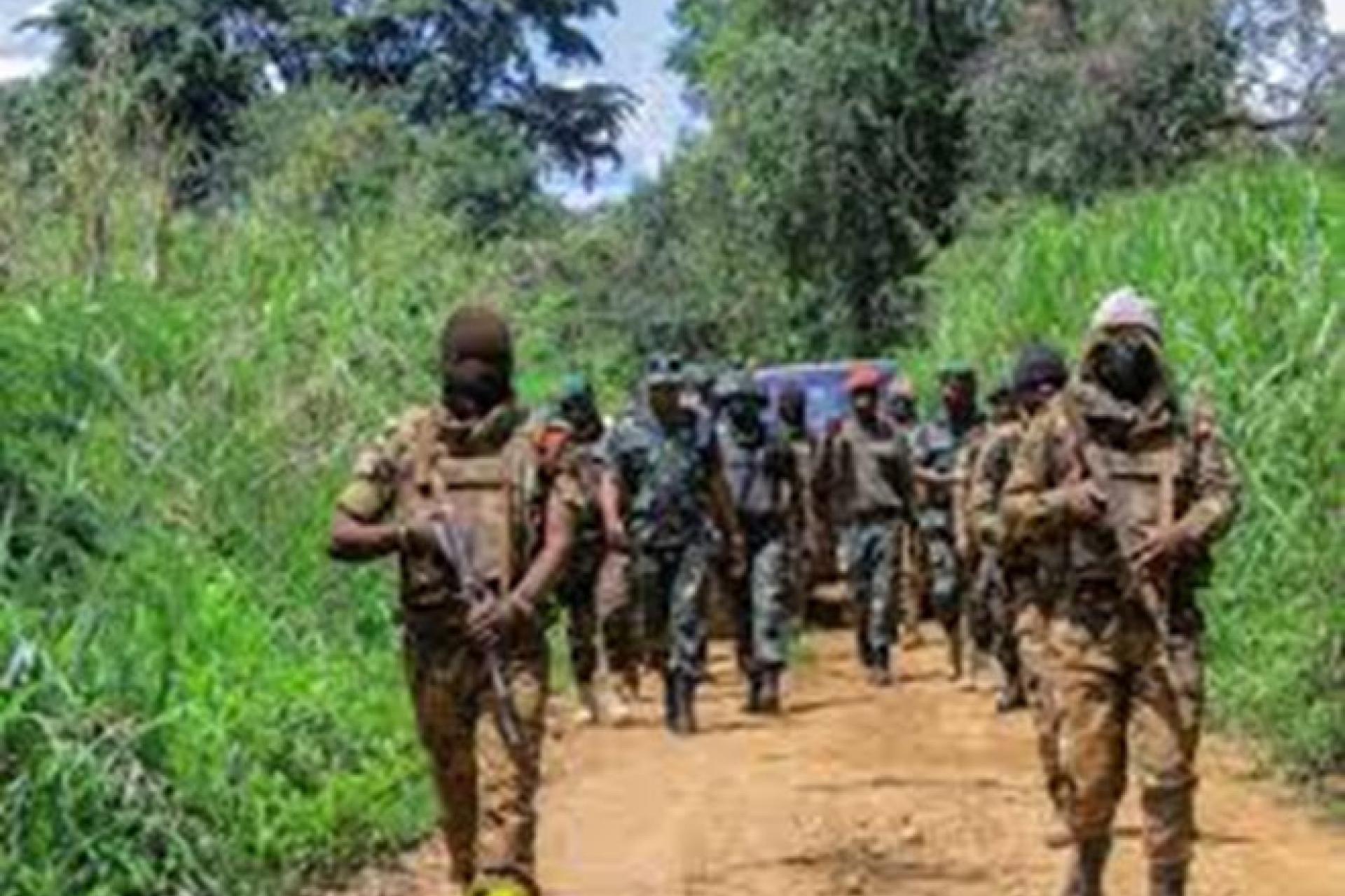 FARDC-UPDF