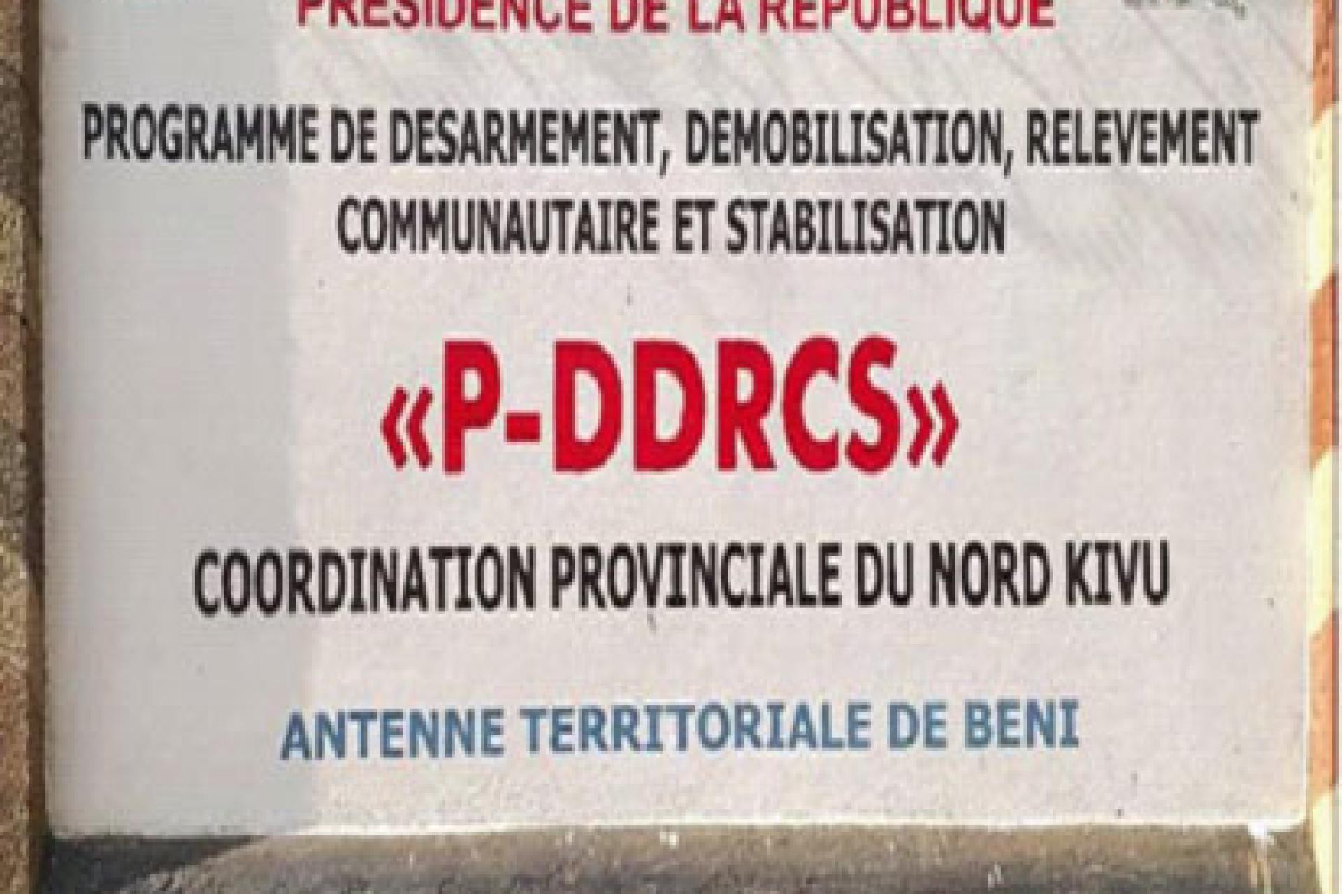 P-DDRCS