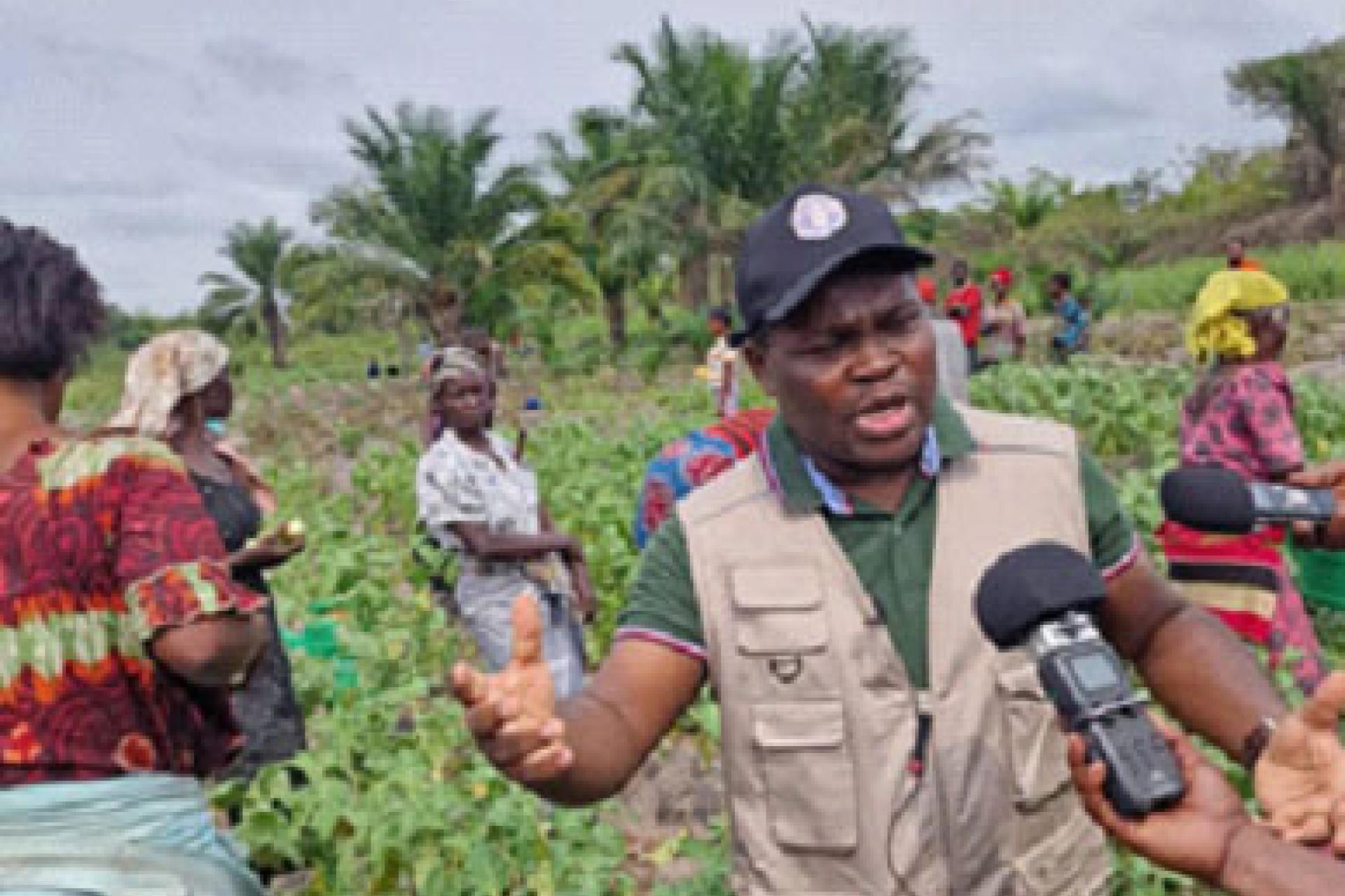 Mr Judicael Pazou, coordonnateur du projet chez FAO assiste à la récolte à kihi. Photo droits tiers
