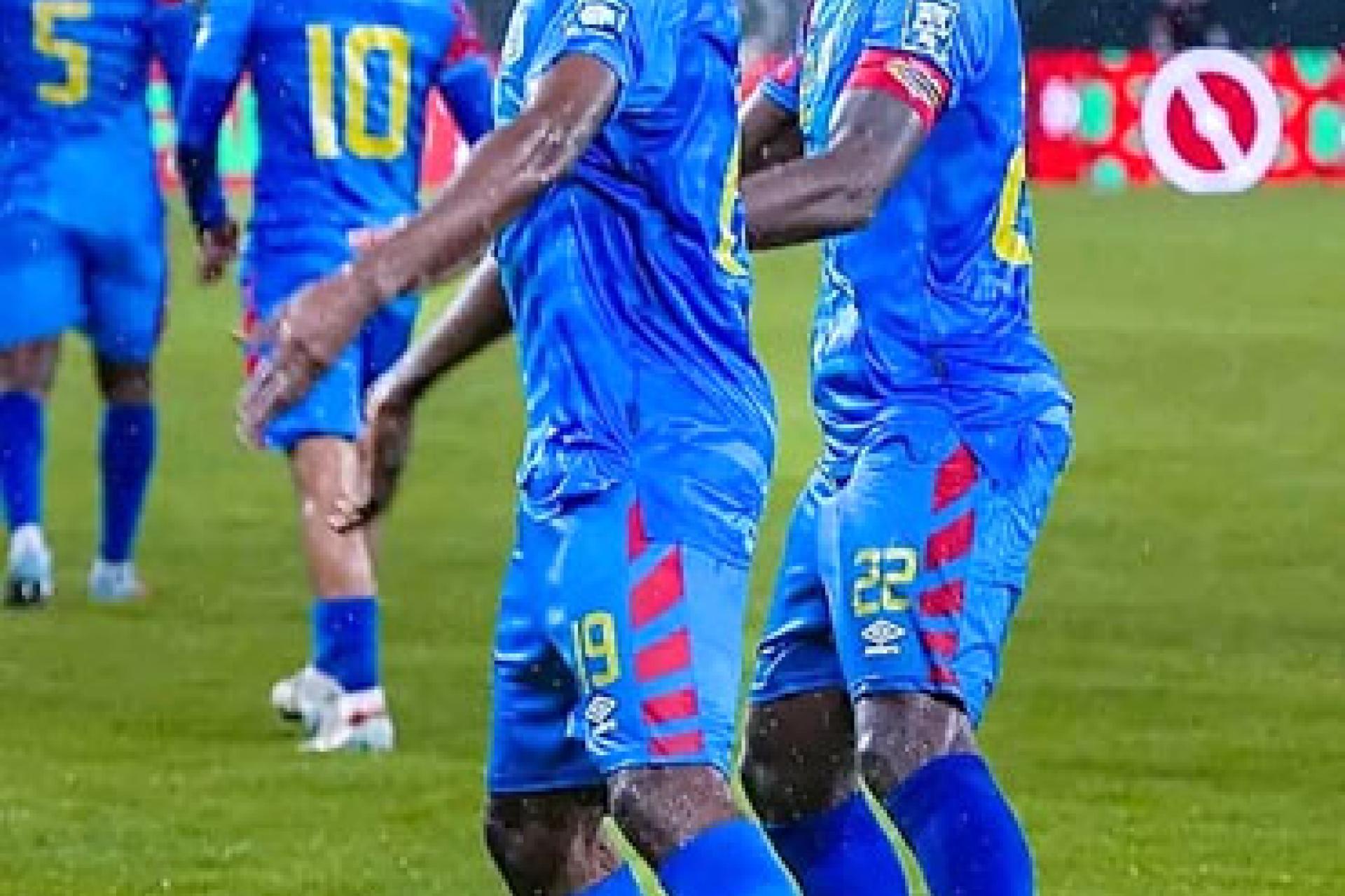 Deux léopards RDC