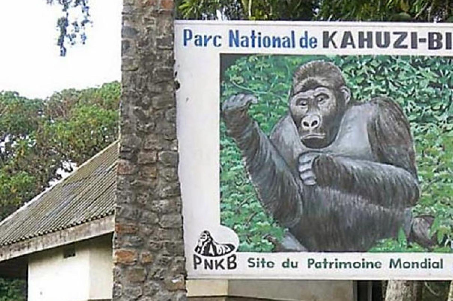 Parc Kahuzi-Biega